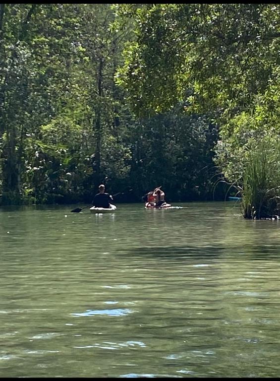 6443 Finance Avenue Weeki Wachee, FL 34607 - Photo 41 of 45 a view of a water fountain