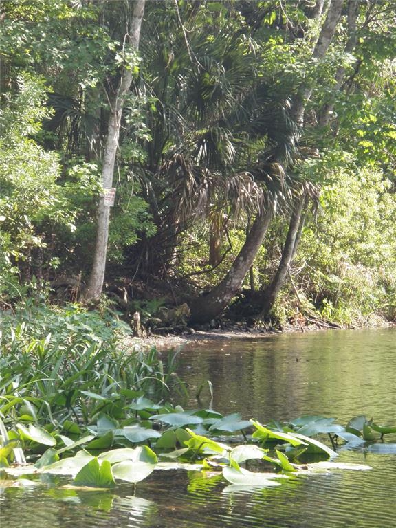 6443 Finance Avenue Weeki Wachee, FL 34607 - Photo 43 of 45 a lake view with boat