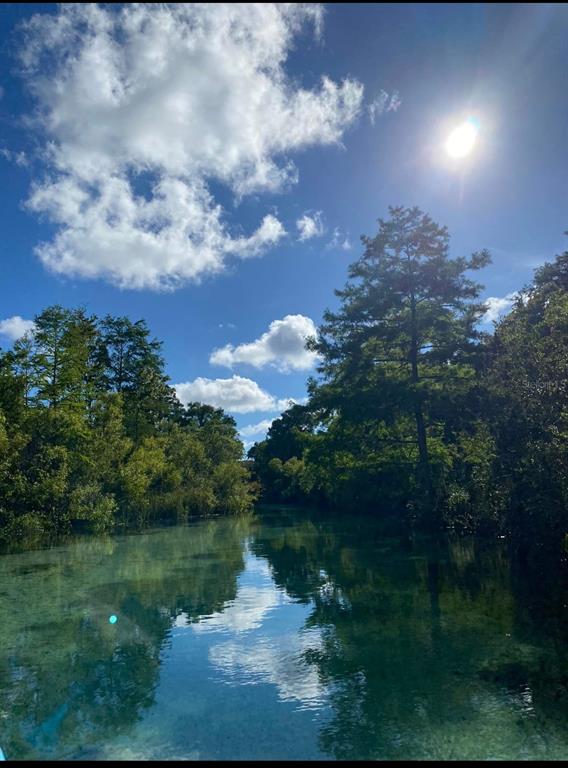 6443 Finance Avenue Weeki Wachee, FL 34607 - Photo 45 of 45 a view of a lake in middle of forest