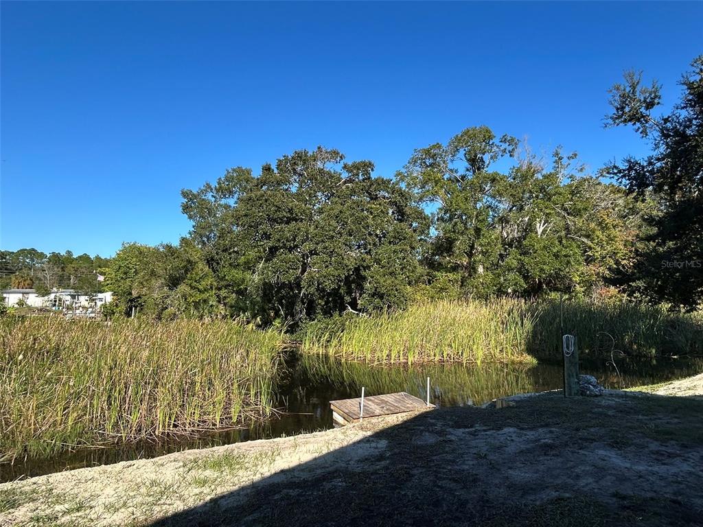 6443 Finance Avenue Weeki Wachee, FL 34607 - Photo 7 of 45 a view of a yard