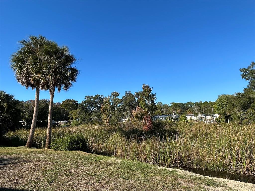 6443 Finance Avenue Weeki Wachee, FL 34607 - Photo 8 of 45 a view of a lake and mountain view