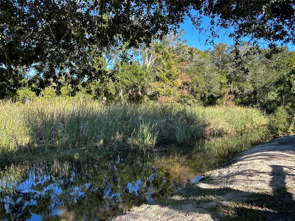 6443 Finance Avenue Weeki Wachee, FL 34607 - Photo 9 of 45 a view of a lake with top of house