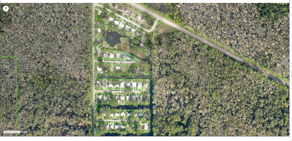 6443 Finance Avenue Weeki Wachee, FL 34607 - Photo 10 of 45 a picture of a tree