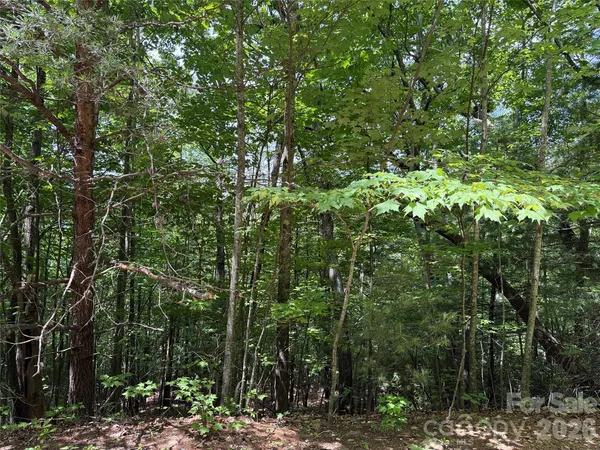 $57,500 | Tbd Tbd Warren Way, Unit 132A, Purlear, NC 28665