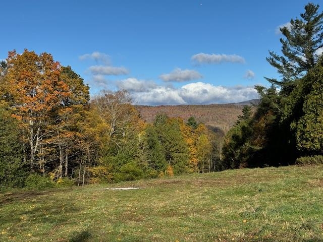 0 Mountain Hill Road Craftsbury, VT 05826 - Photo 1 of 11