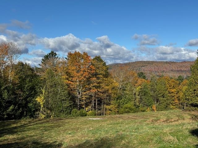 0 Mountain Hill Road Craftsbury, VT 05826 - Photo 8 of 11