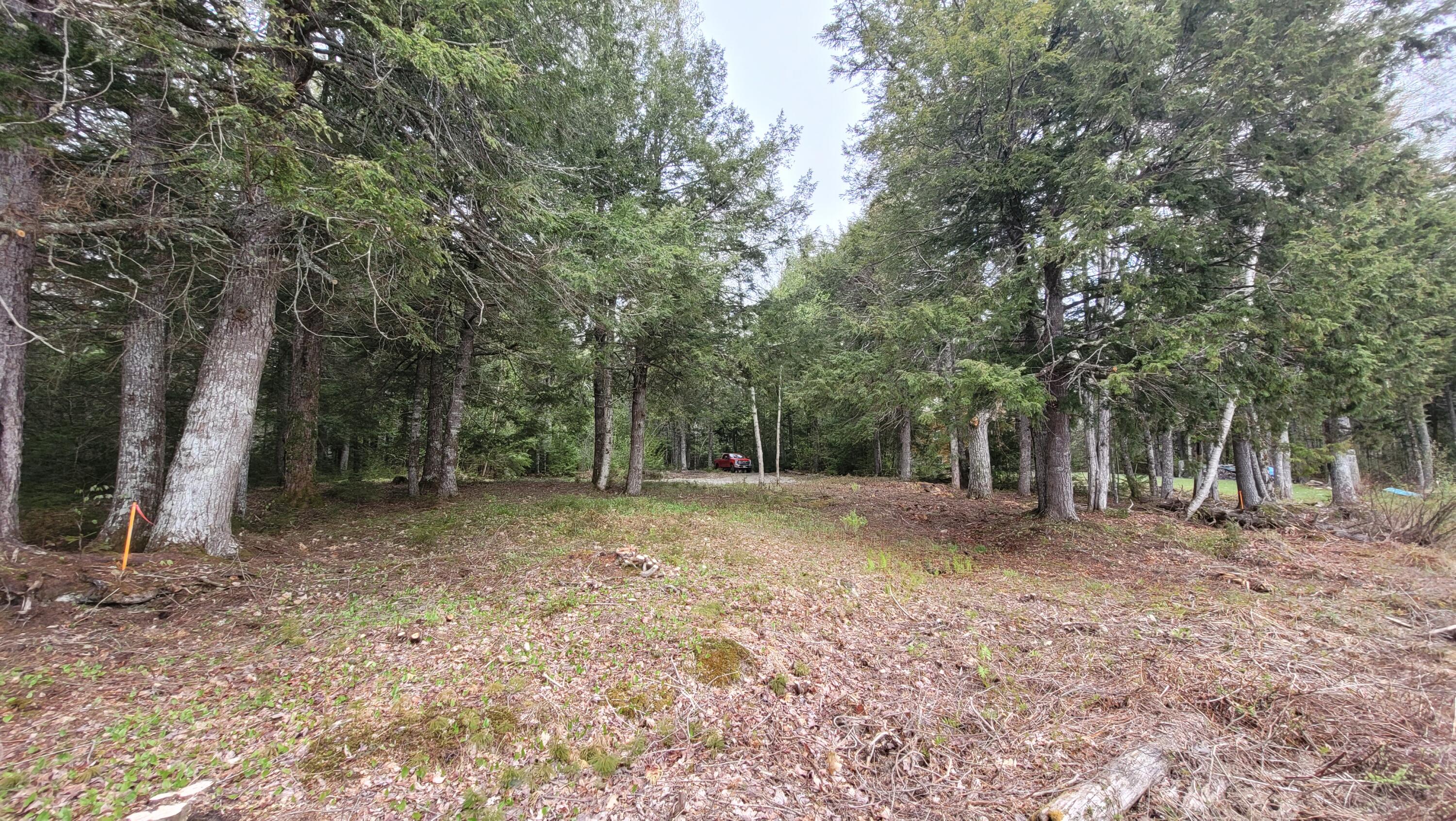 0 Silsby Road Ellsworth, ME 04605 - Photo 3 of 11 20220513_085240