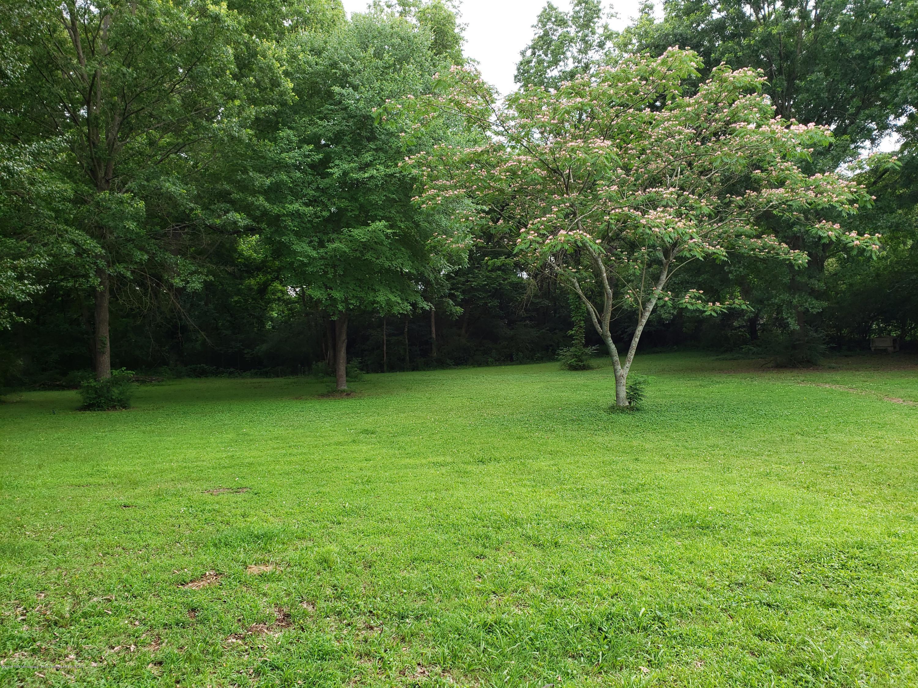 7557 State Line Road Olive Branch, MS 38654 - Photo 8 of 24 20190609_125610