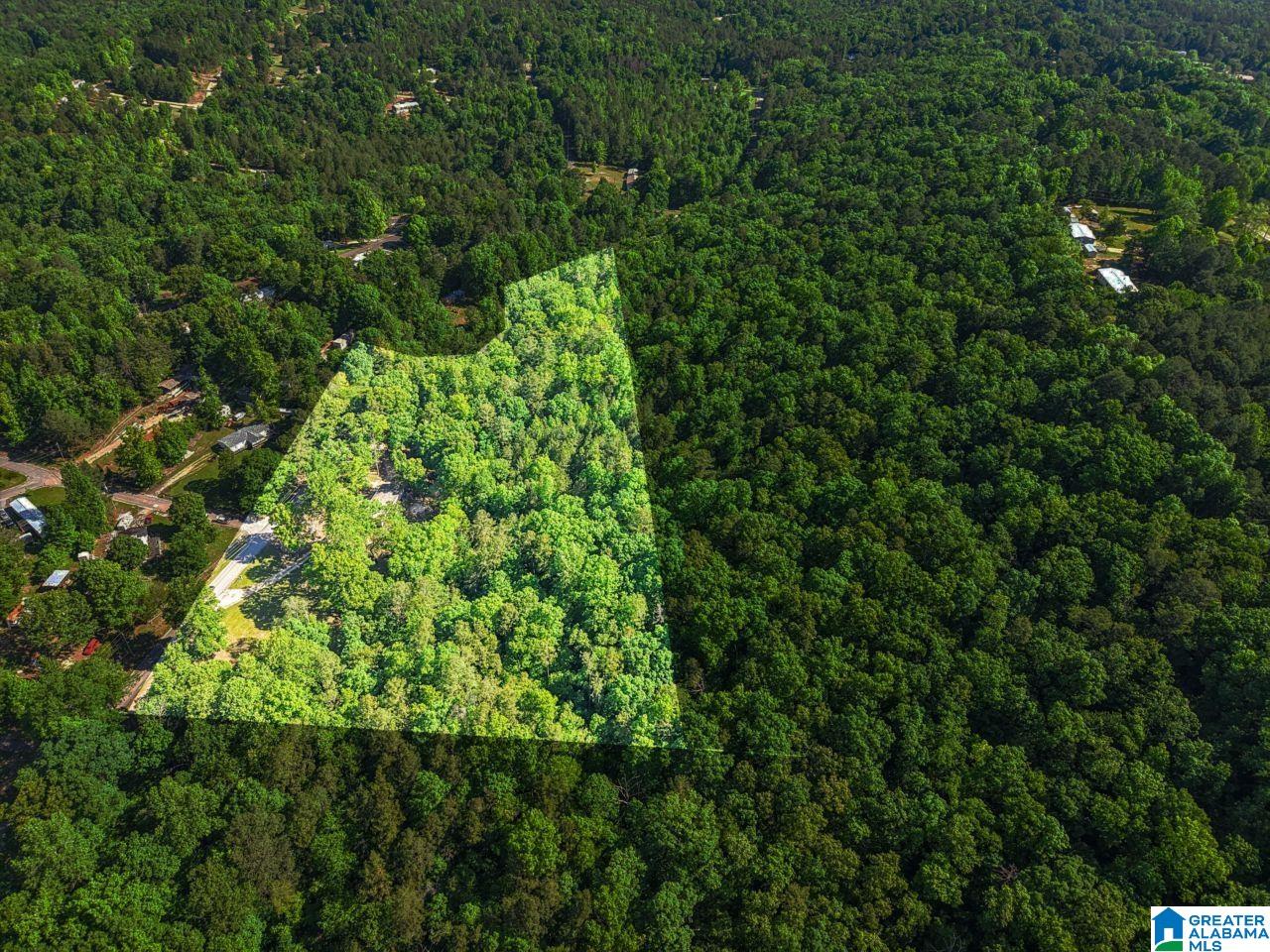1114 Roulain Road Odenville, AL 35120 - Photo 43 of 48 Gallery Image 43