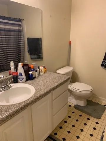 a bathroom with a sink toilet and mirror