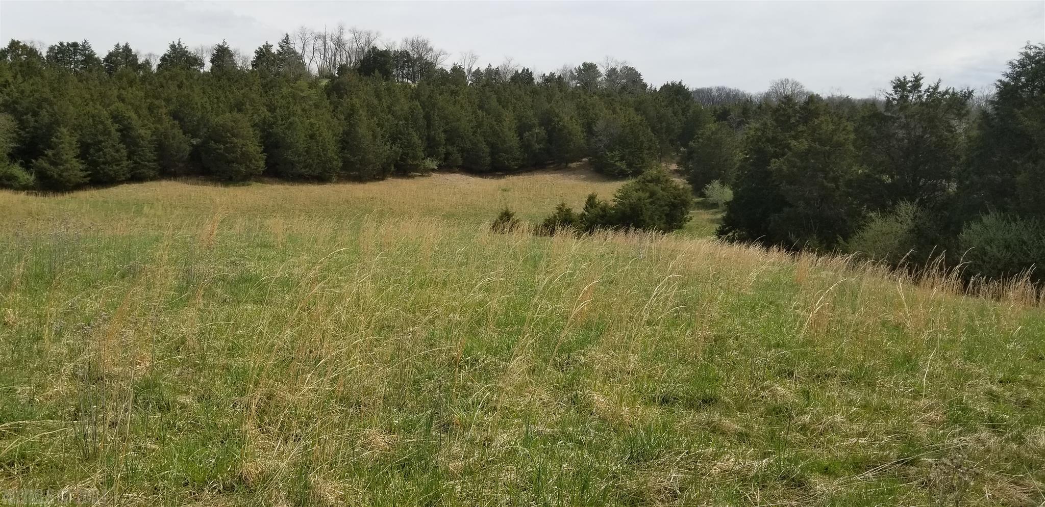 Lot 10 Hurston Road Pulaski, VA 24301 - Photo 3 of 15 Gallery Image 3