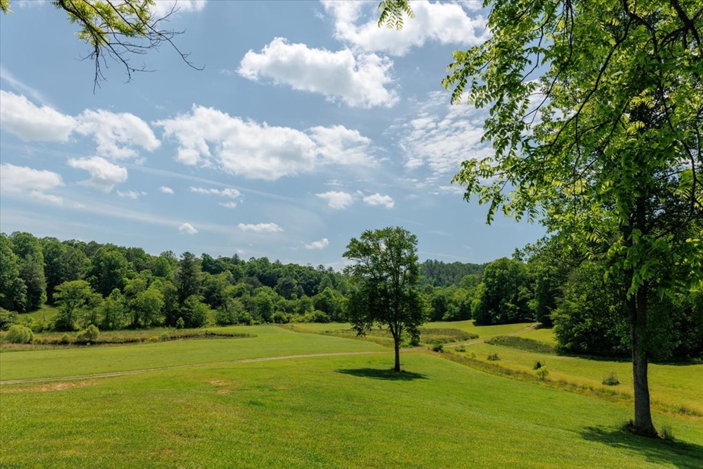 5260 Hardscrabble Road Mineral Bluff, GA 30559 - Photo 19 of 52