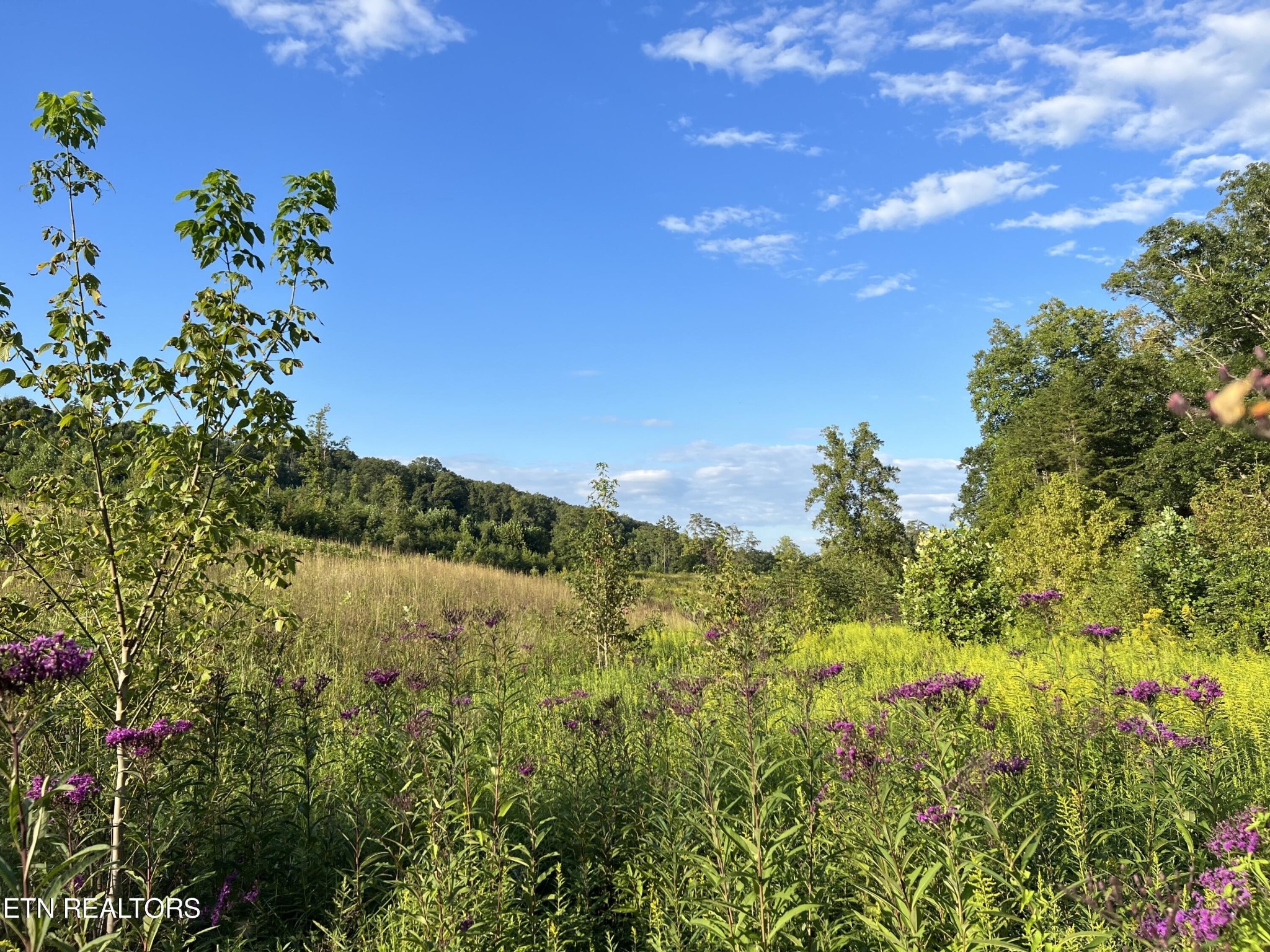 0 Dyer Hollow Road Mohawk, TN 37810 - Photo 2 of 6