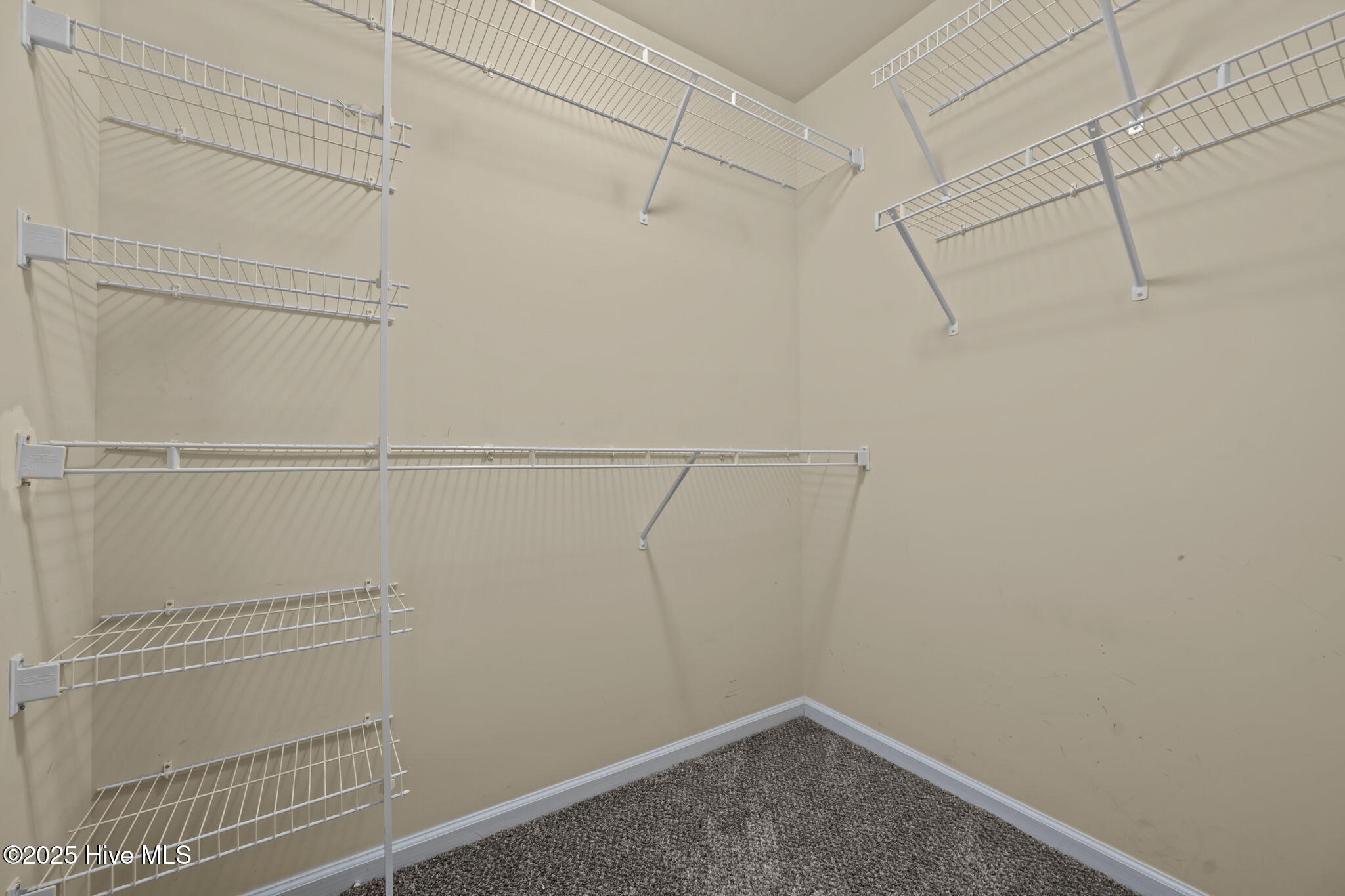 331 First Post Road Jacksonville, NC 28546 - Photo 18 of 55 Primary Bedroom Closet