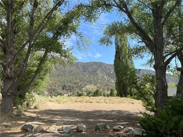 a view of a yard with large trees