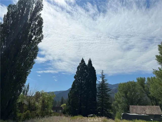 a view of outdoor space yard and trees