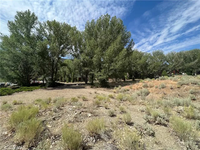 a view of a yard covered with snow in front of house