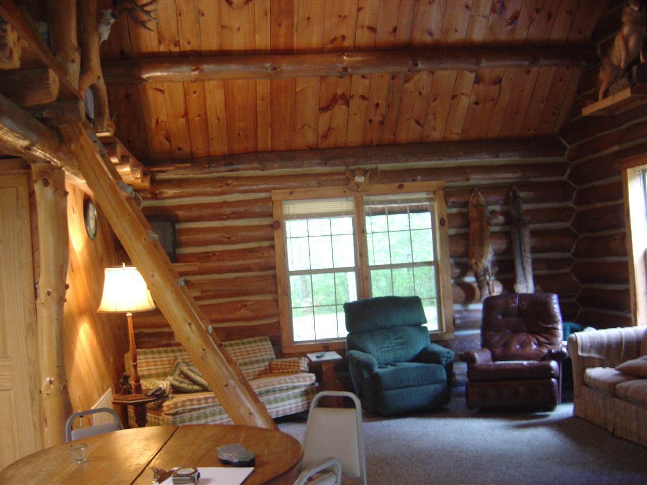 5202 North North Access Road Irons, MI 49644 - Photo 10 of 32 1804602-9.JPG