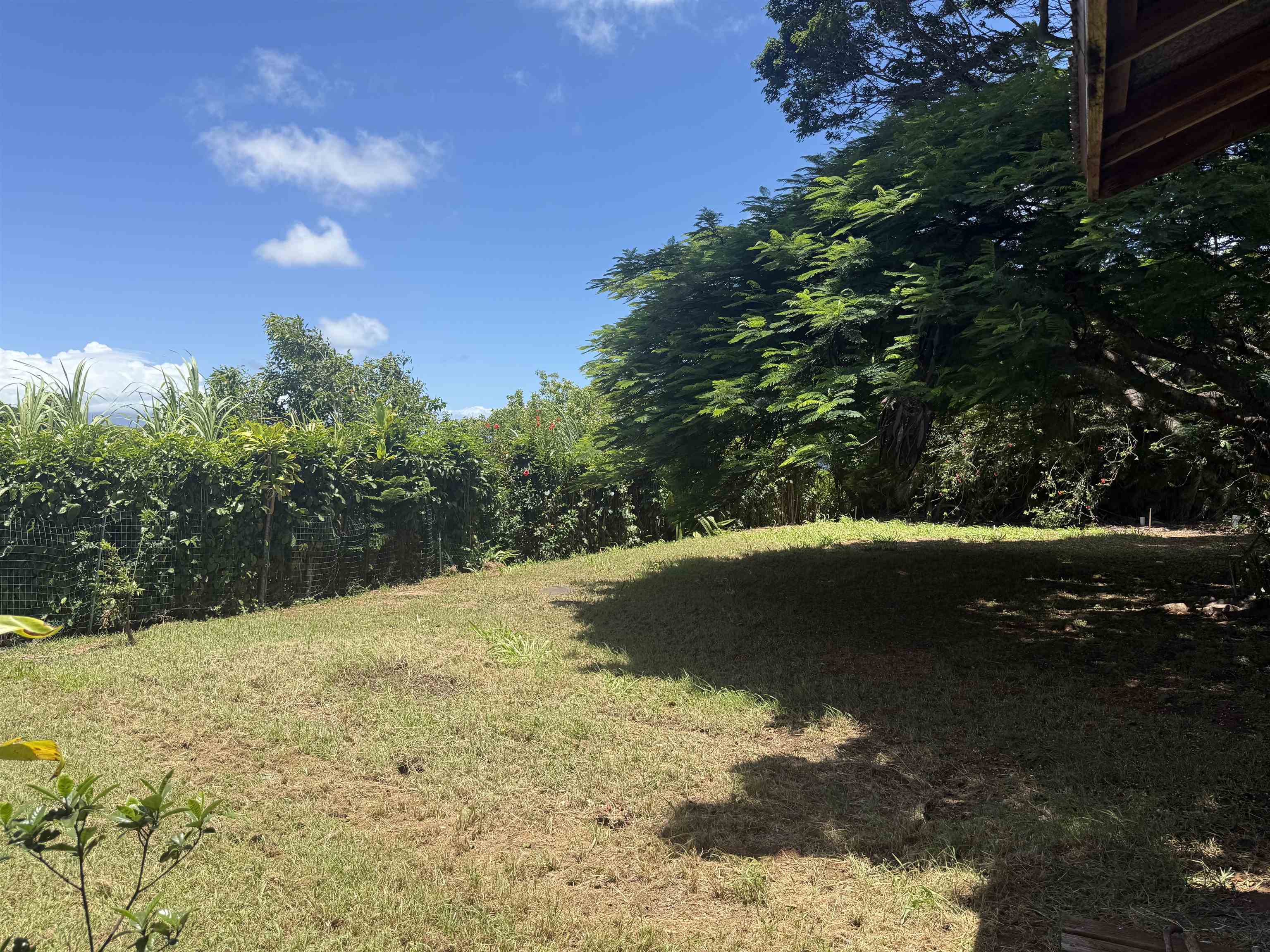 1490 Kokomo Road Haiku, HI 96708 - Photo 15 of 19