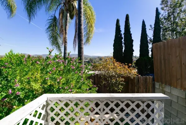 a view of outdoor space with plants