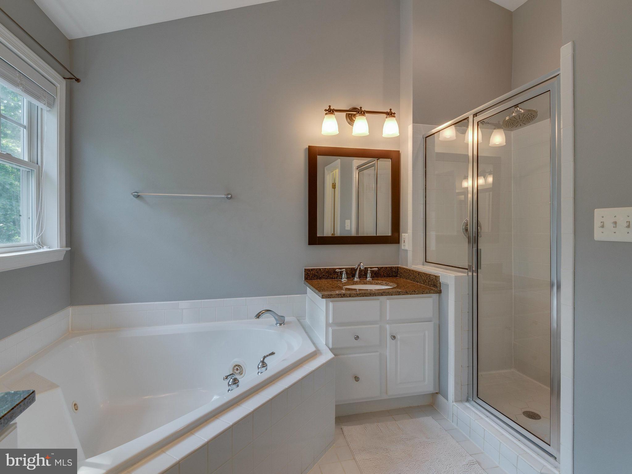 11131 Little Compton Drive Reston, VA 20191 - Photo 24 of 30 Bath (Master)