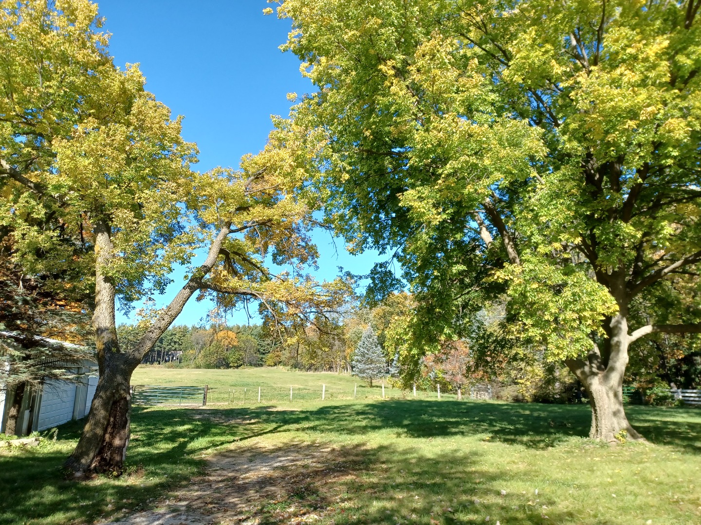 8104 Bull Valley Road Bull Valley, IL 60098 - Photo 29 of 30
