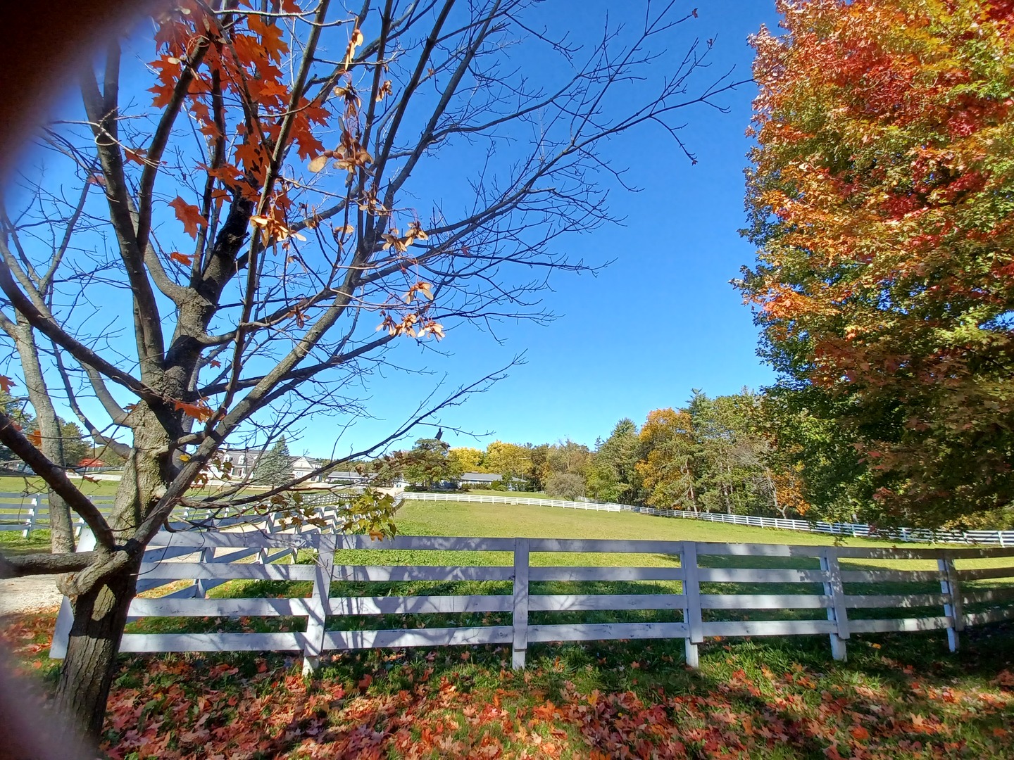 8104 Bull Valley Road Bull Valley, IL 60098 - Photo 3 of 30