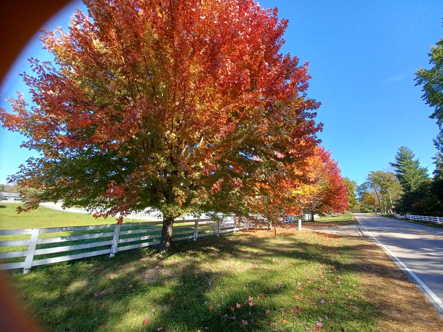 8104 Bull Valley Road Bull Valley, IL 60098 - Photo 6 of 30