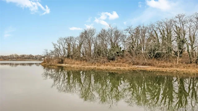 a view of lake with green space