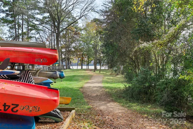 a view of a park with large trees