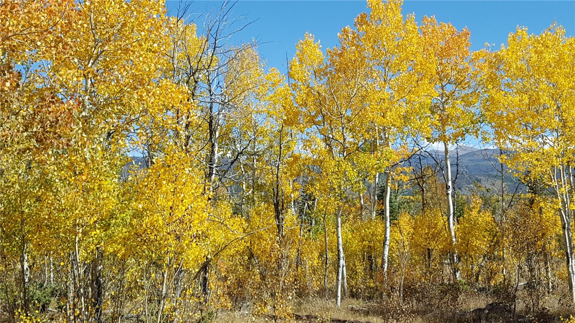 12200 Ute Pass Road Silverthorne, CO 80498 - Photo 2 of 25 Gallery Image 2