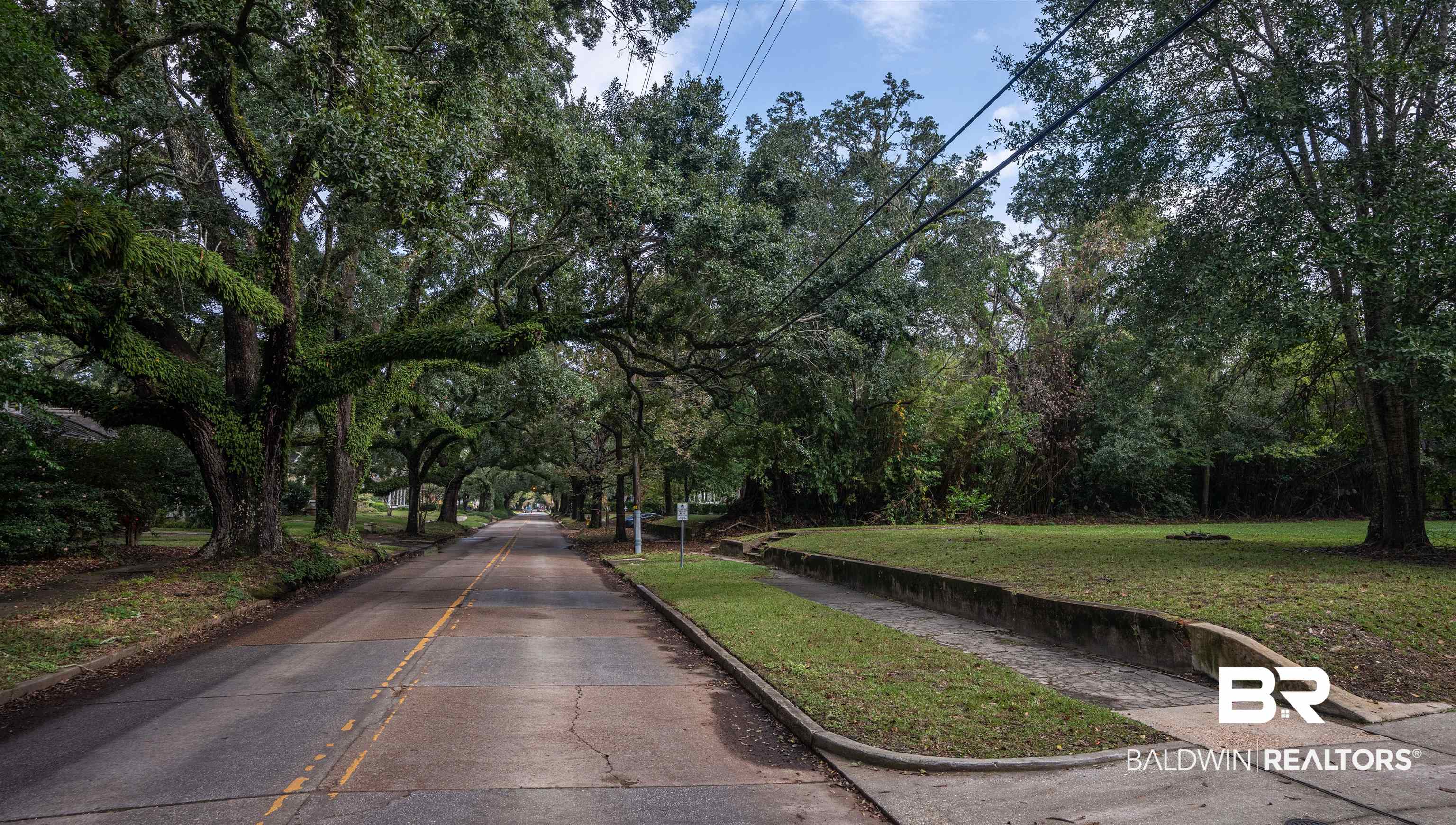 113 Houston Street Mobile, AL 36606 - Photo 14 of 15 View of road