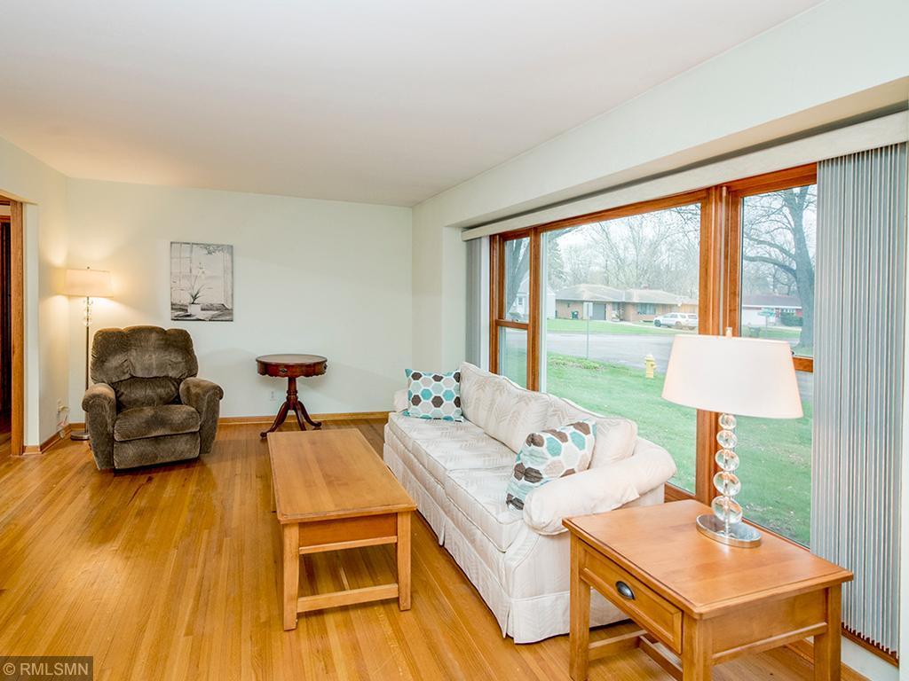 1011 Ruggles Street Roseville, MN 55113 - Photo 14 of 27 Gallery Image 14