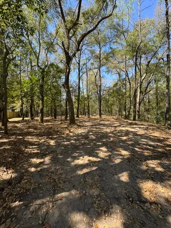 $55,000 | 0 Klein Street, Walterboro, SC 29488