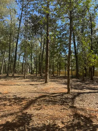 $55,000 | 0 Klein Street, Walterboro, SC 29488