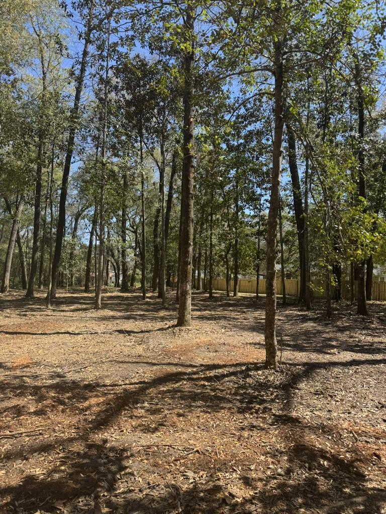 0 Klein Street Walterboro, SC 29488 - Photo 11 of 12 CF2E3AA7-B9BB-4790-8F48-804D44FEE082_1_1