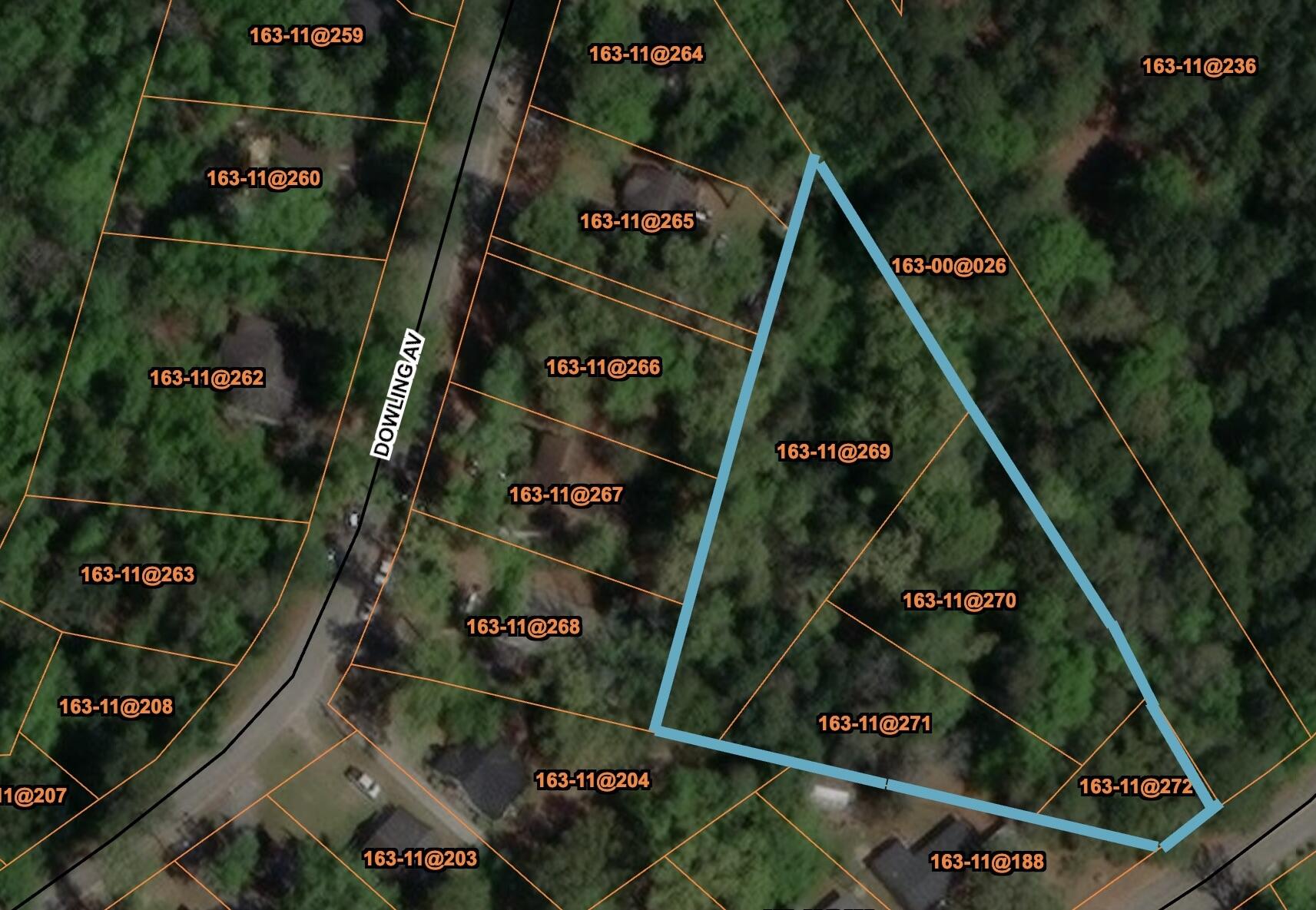 0 Klein Street Walterboro, SC 29488 - Photo 12 of 12 1924C4DF-E689-4306-B929-4C81452538B9_1_2