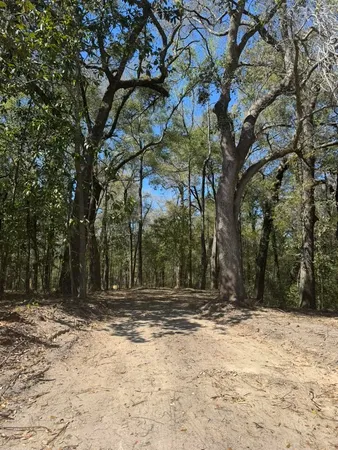 $55,000 | 0 Klein Street, Walterboro, SC 29488