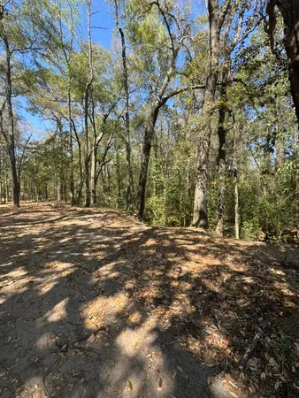 $55,000 | 0 Klein Street, Walterboro, SC 29488