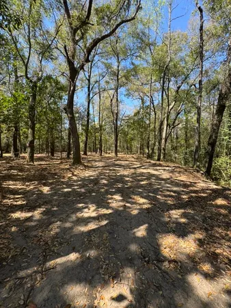 $55,000 | 0 Klein Street, Walterboro, SC 29488