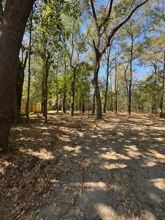 $55,000 | 0 Klein Street, Walterboro, SC 29488