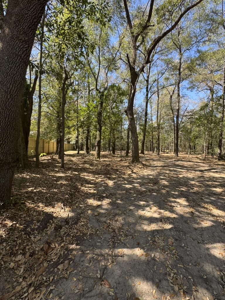 0 Klein Street Walterboro, SC 29488 - Photo 5 of 12 EEF60EDB-3CFD-41FB-8BC0-707B915044C7_1_1