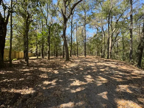$55,000 | 0 Klein Street, Walterboro, SC 29488