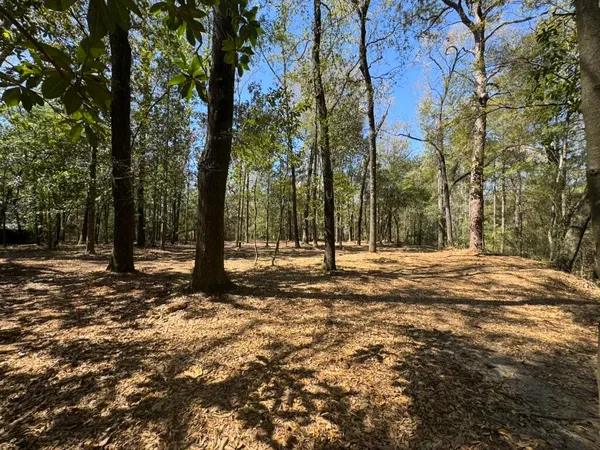 $55,000 | 0 Klein Street, Walterboro, SC 29488