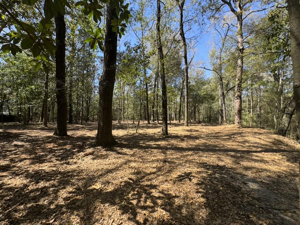 0 Klein Street Walterboro, SC 29488 - Photo 8 of 12 47BFB850-1E5F-41C9-8BF1-15BEBE05DA1D_1_1