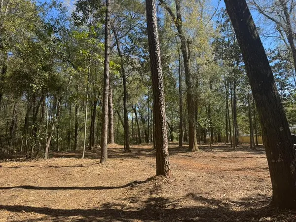 $55,000 | 0 Klein Street, Walterboro, SC 29488