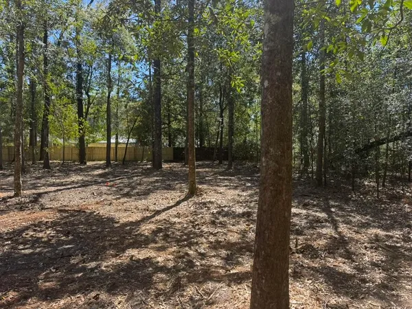 $55,000 | 0 Klein Street, Walterboro, SC 29488