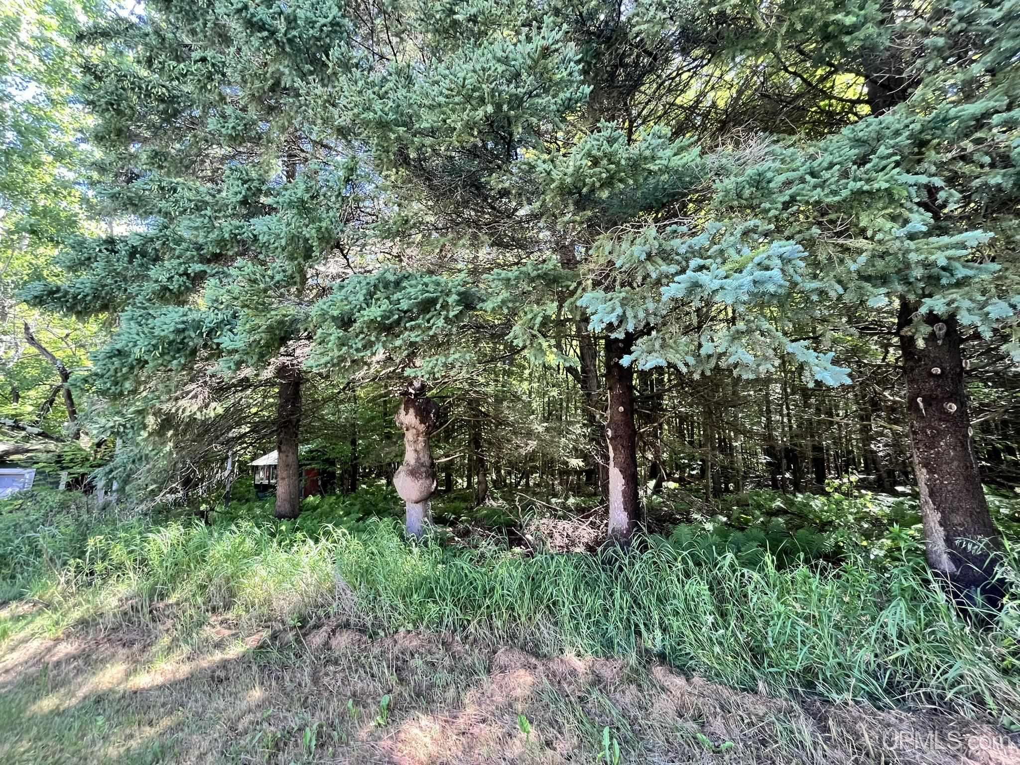 810 River Road Manistique, MI 49854 - Photo 25 of 33 Gallery Image 25