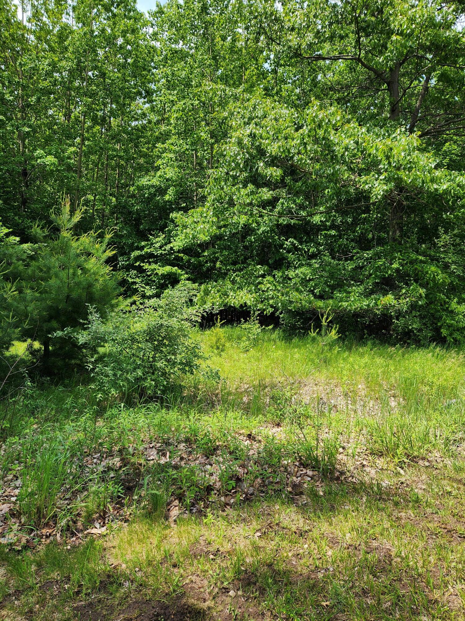 0 Opal Ridge Drive, Unit 64 Onekama, MI 49675 - Photo 3 of 10 20240604_140834