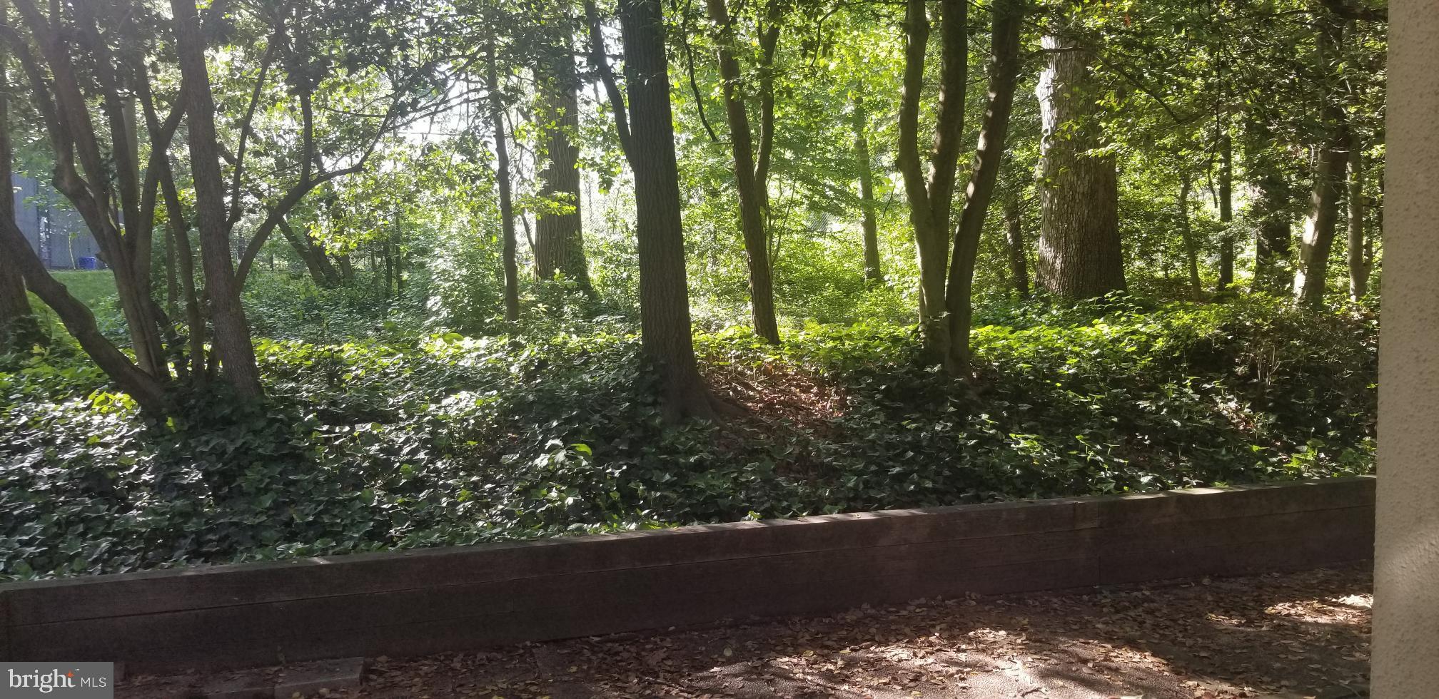 11671 Newbridge Court Reston, VA 20191 - Photo 7 of 36 Backyard